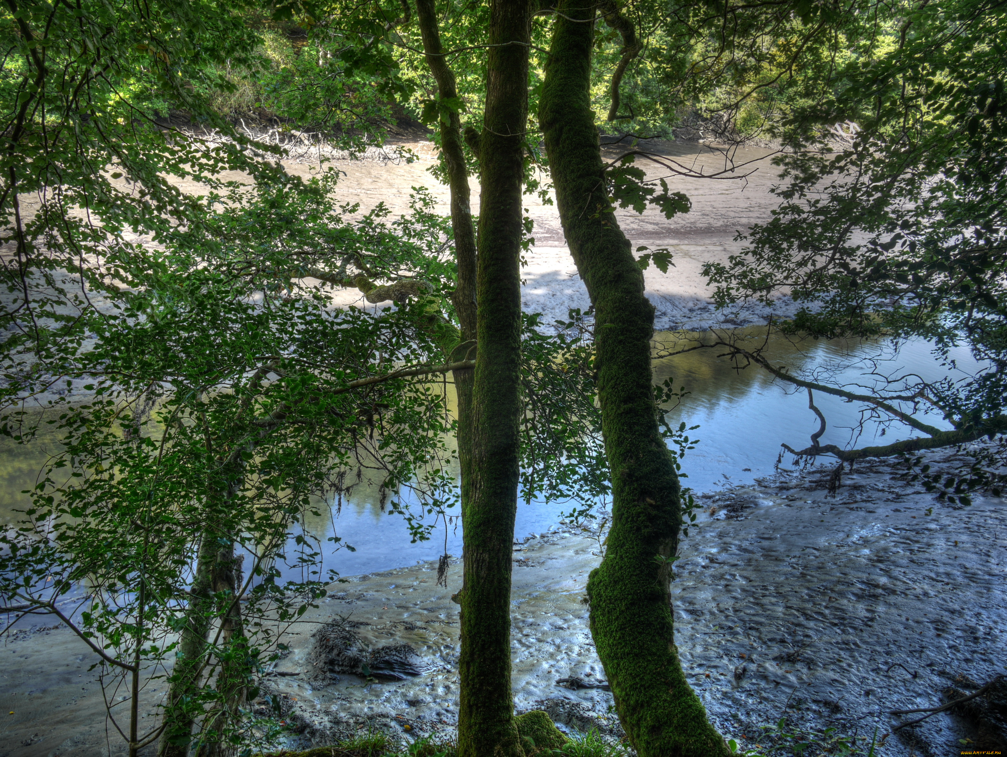 river, lerryn, , , , , , , 